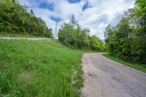 000 County Road 817, Gainesville, MO 65655 photo 18