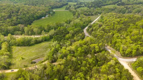 000 County Road 817, Gainesville, MO 65655 photo 4