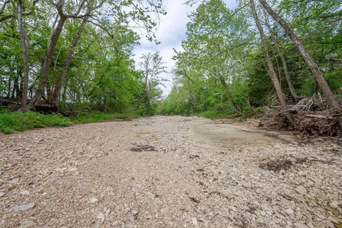 000 County Road 817, Gainesville, MO 65655 photo 16