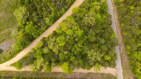 000 County Road 817, Gainesville, MO 65655 photo 5