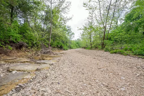 000 County Road 817, Gainesville, MO 65655 photo 14