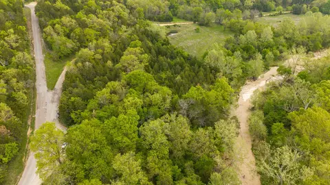 000 County Road 817, Gainesville, MO 65655 photo 9