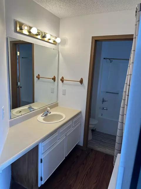 Bath - 22 Fall Creek Trl # 5, Branson, MO 65616 photo 1 of 2