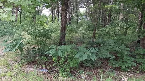4175 Oakwood Rd, Merriam Woods, MO 65740