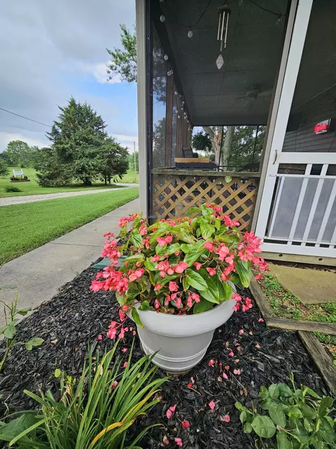 Exterior - 1157 E Dade 186, Ash Grove, MO 65604 photo 14 of 49
