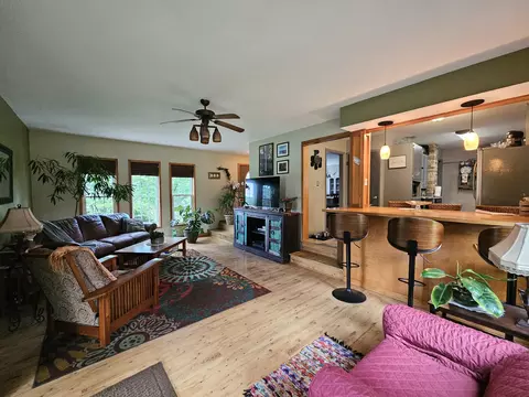 Living - 1157 E Dade 186, Ash Grove, MO 65604 photo 2 of 7