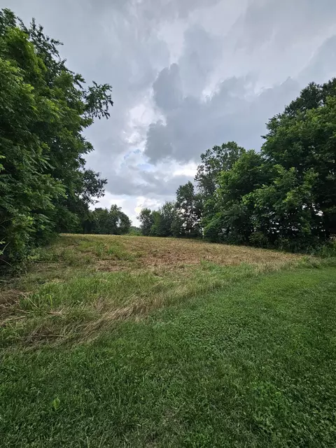 Other - 1157 E Dade 186, Ash Grove, MO 65604 photo 36 of 49