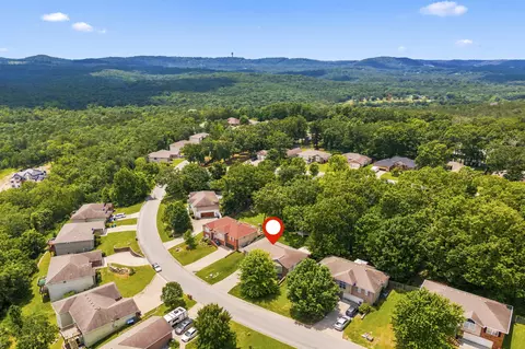 View/Area - 234 Mesquite Dr, Branson, MO 65616 photo 2 of 5