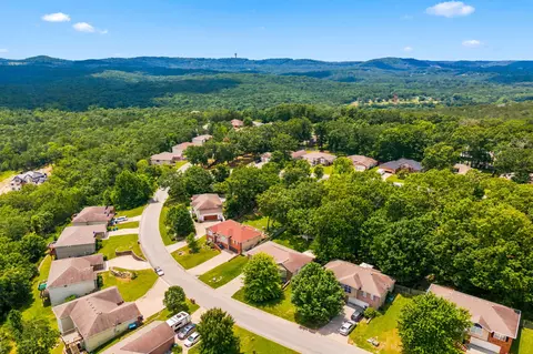 View/Area - 234 Mesquite Dr, Branson, MO 65616 photo 4 of 5