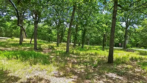 Other - 203 Blue Meadows Dr, Branson, MO 65616 photo 15 of 17