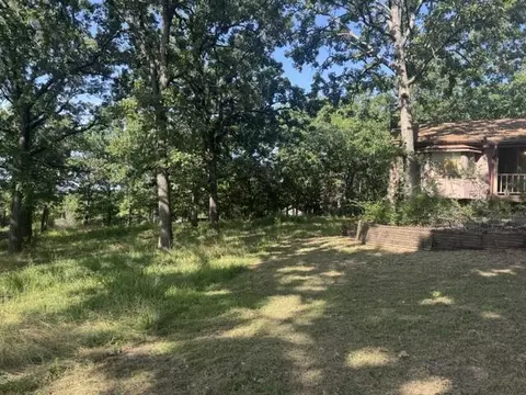 Exterior - 203 Blue Meadows Dr, Branson, MO 65616 photo 7 of 38