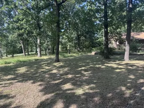 Exterior - 203 Blue Meadows Dr, Branson, MO 65616 photo 9 of 38