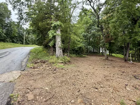 763 Taneycomo Rd, Branson, MO 65616 photo 34