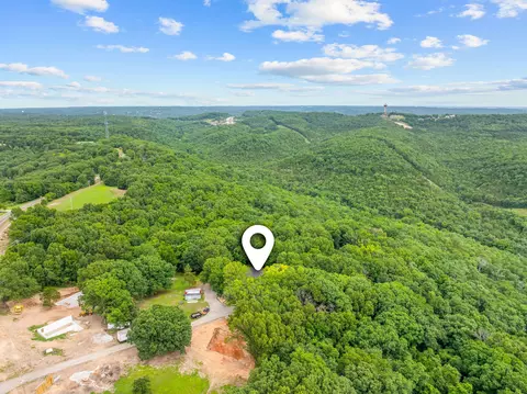 View/Area - 4036 State Highway 265, Branson, MO 65616 photo 6 of 7