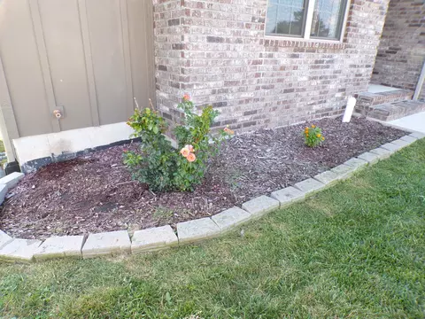 Exterior - 517 N Stella Ct, Willard, MO 65781 photo 4 of 10