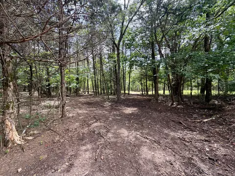 Exterior - 330 Hendrickson School Rd, Shell Knob, MO 65747 photo 3 of 6