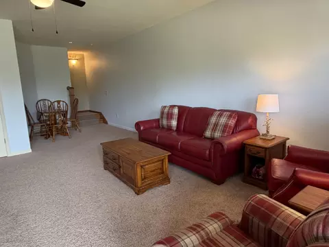 Living - 120 Residence Ln #2, Branson, MO 65616 photo 4 of 8