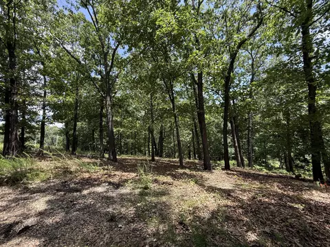 24 Little Fox Ln, Lampe, MO 65681 photo 9