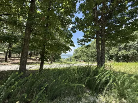 24 Little Fox Ln, Lampe, MO 65681 photo 7
