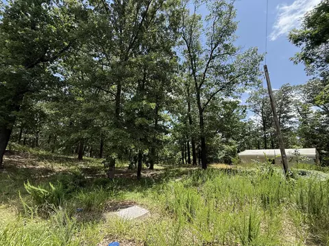 24 Little Fox Ln, Lampe, MO 65681 photo 12