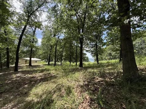 24 Little Fox Ln, Lampe, MO 65681 photo 11