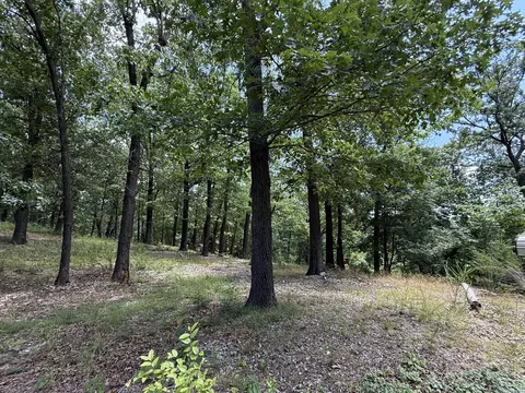 24 Little Fox Ln, Lampe, MO 65681 photo 8