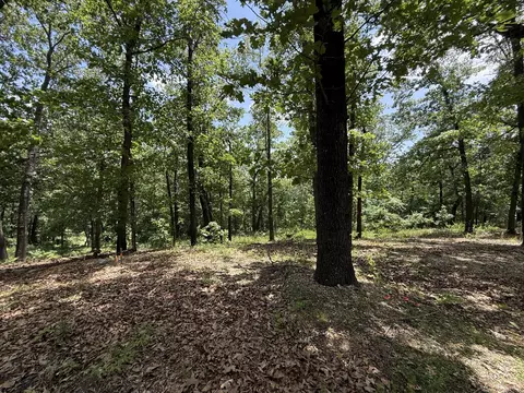 24 Little Fox Ln, Lampe, MO 65681 photo 10