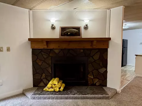 Living - 763 Taneycomo Rd, Branson, MO 65616 photo 3 of 3