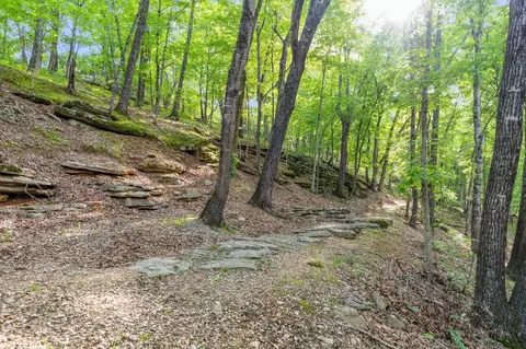 000 El Monte #LOT 2, Branson, MO 65616 photo 3