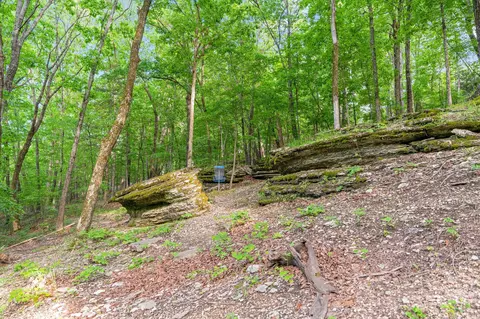 000 El Monte #LOT 2, Branson, MO 65616 photo 6