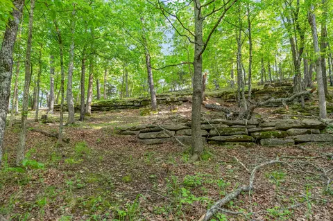 000 El Monte #LOT 2, Branson, MO 65616 photo 2