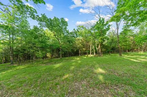 000 El Monte #LOT 2, Branson, MO 65616 photo 9
