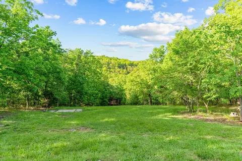 000 El Monte #LOT 2, Branson, MO 65616 photo 10