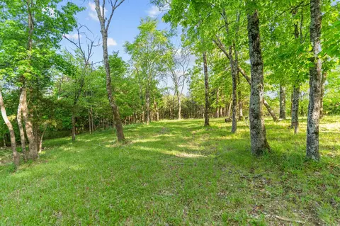 000 El Monte #LOT 2, Branson, MO 65616 photo 7