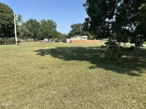 000 Spring Elm St, Newtonia, MO 64853