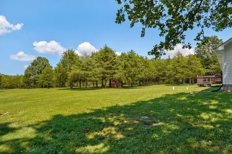 Exterior - 65 Big Tree Trl, Buffalo, MO 65622 photo 7 of 11