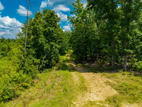 000 Berry Rd, Cabool, MO 65689 photo 39