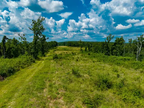 000 Berry Rd, Cabool, MO 65689 photo 40