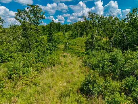 000 Berry Rd, Cabool, MO 65689 photo 42
