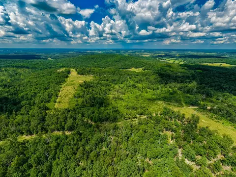 000 Berry Rd, Cabool, MO 65689 photo 37