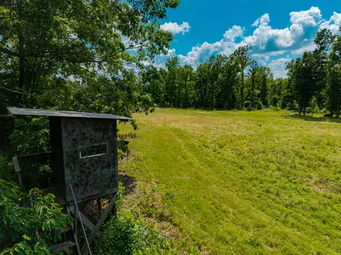 000 Berry Rd #N 37, Cabool, MO 65689 photo 29