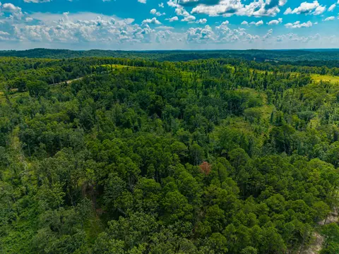 000 Berry Rd #E 80, Cabool, MO 65689 photo 33