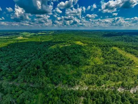 000 Berry Rd #E 80, Cabool, MO 65689 photo 10