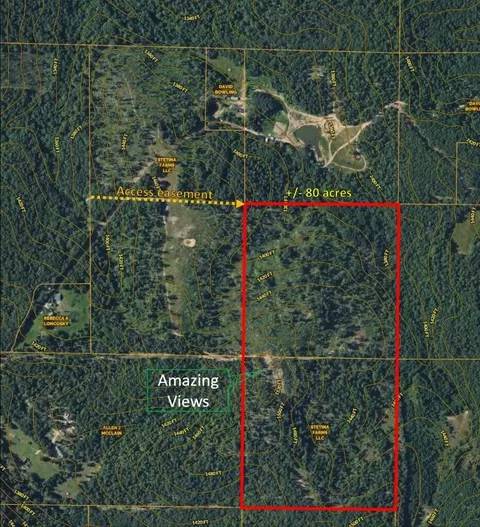 000 Berry Rd #E 80, Cabool, MO 65689 photo 34