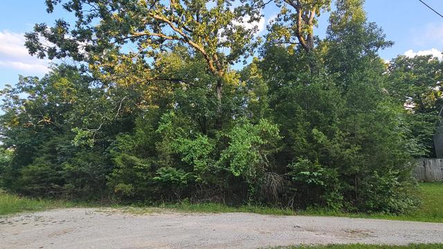 000 Morningview, Merriam Woods, MO 65740