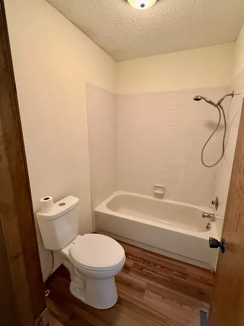 Bath - 1141 E Cambridge St, Springfield, MO 65807 photo 4 of 5