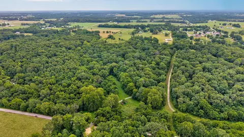 View/Area - 326 Arliss Dr, Crane, MO 65633 photo 3 of 4