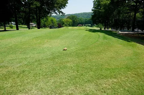 Other - 189 Avondale Dr #5, Branson, MO 65616 photo 5 of 5