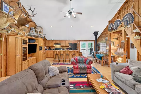 Living - 688 Stevens Rd, Garrison, MO 65657 photo 2 of 4