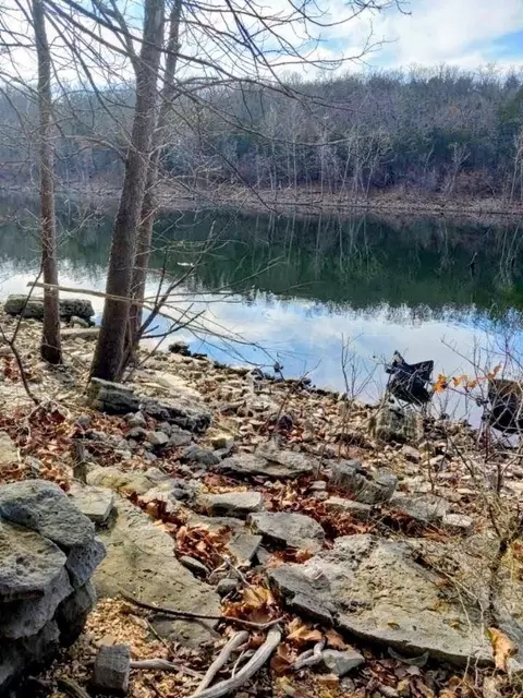View/Area - 721 Pack Ln, Lampe, MO 65681 photo 1 of 1